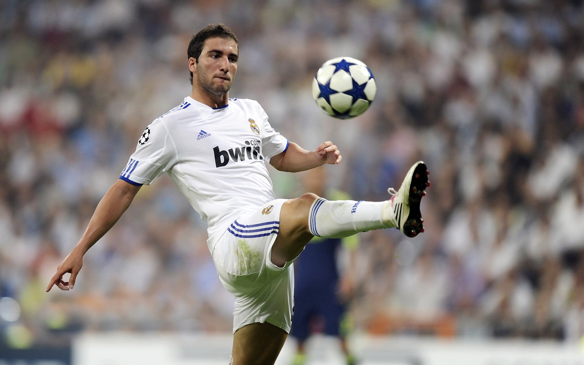 开云kaiyun 官网下载app客服-斯图加特后场稳固保护门将不受威胁，斯图加特0607